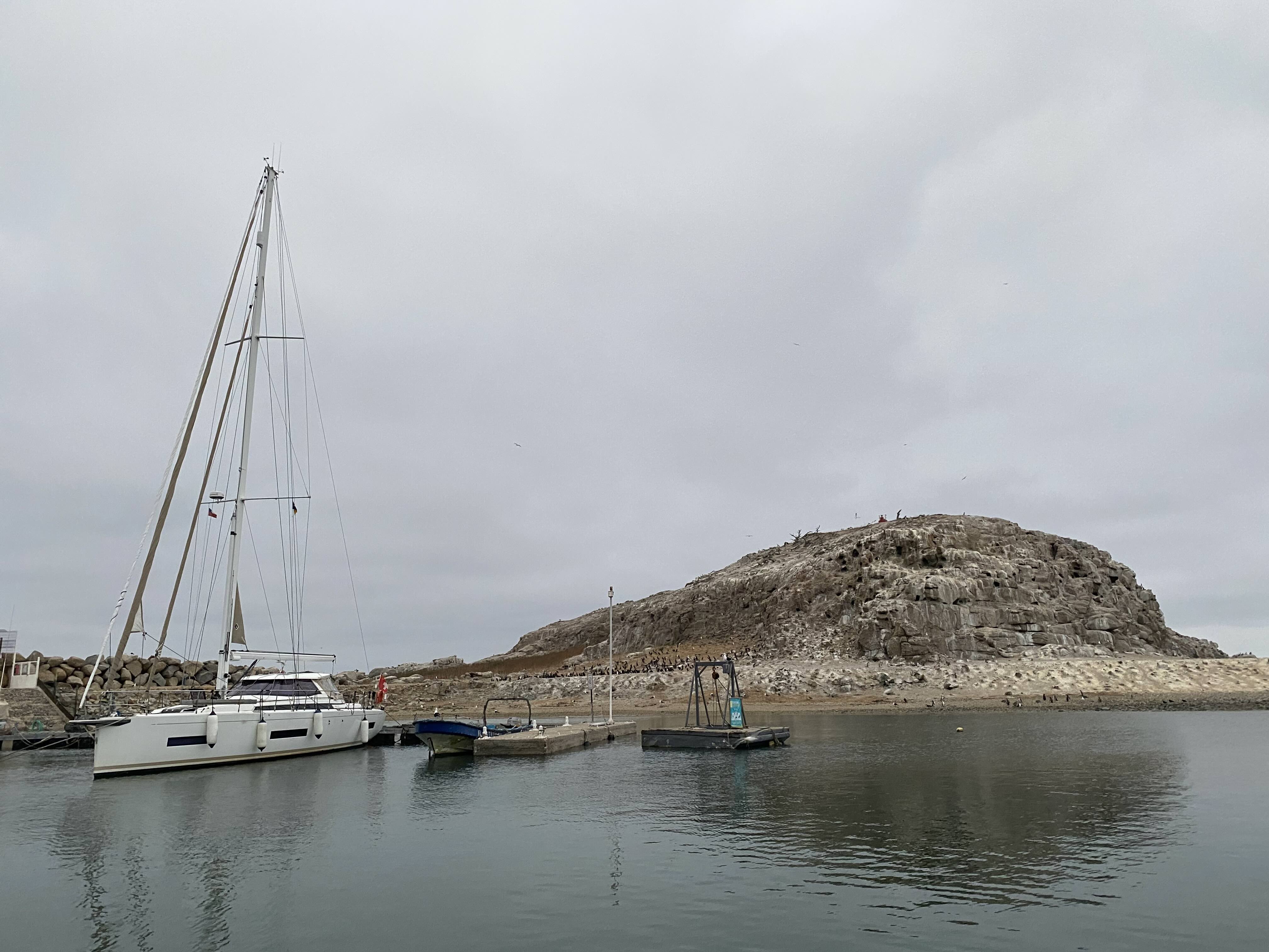 algarrobobr