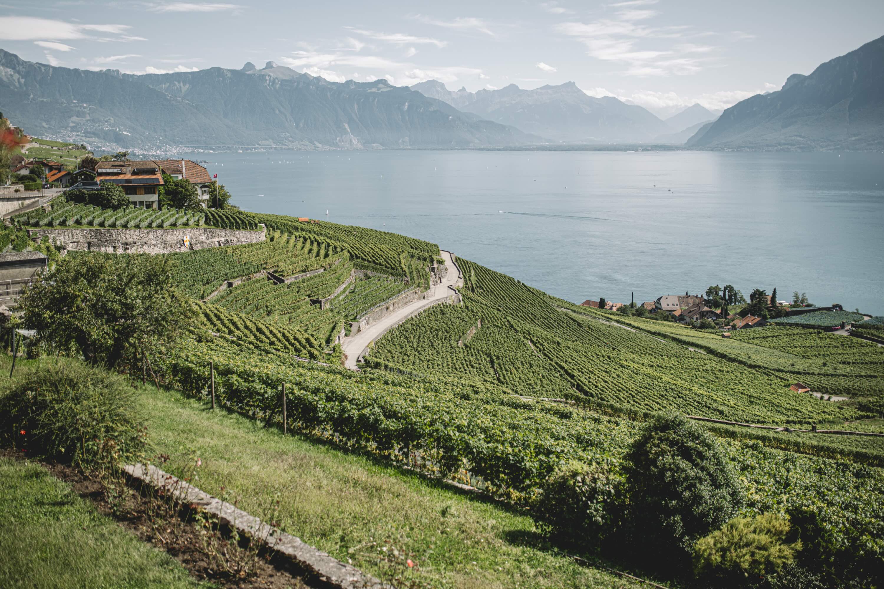 brlavaux4.jpeg