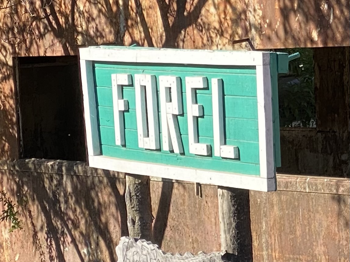 forel.jpg